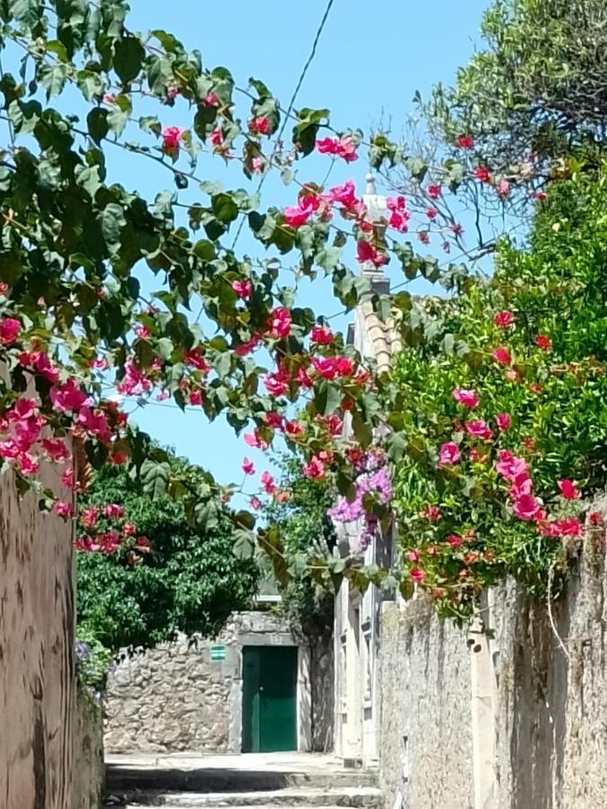 Seaview Dubrovnik Old Town Lejlighed Eksteriør billede